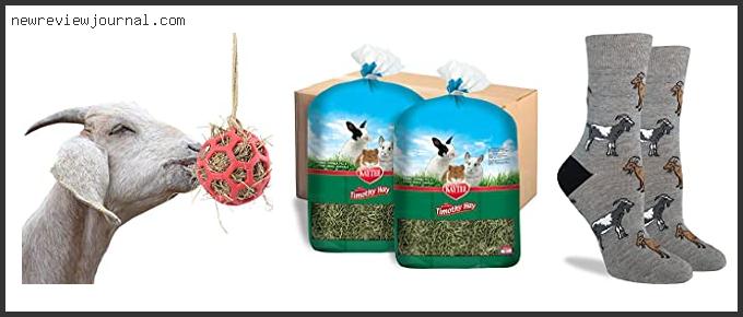 Buying Guide For Best Hay For Pygmy Goats Based On User Rating