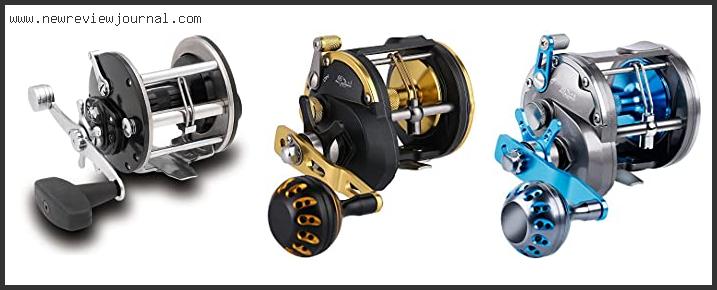 Top 10 Best Level Wind Reels Reviews For You