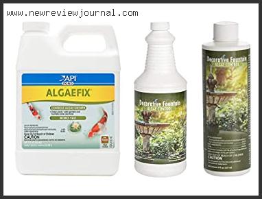 Top 10 Best Algaecide For Fountains In [2024]