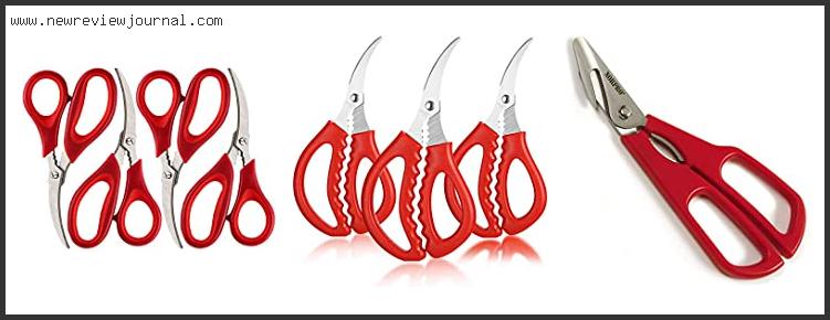 Top 10 Best Lobster Scissors – To Buy Online
