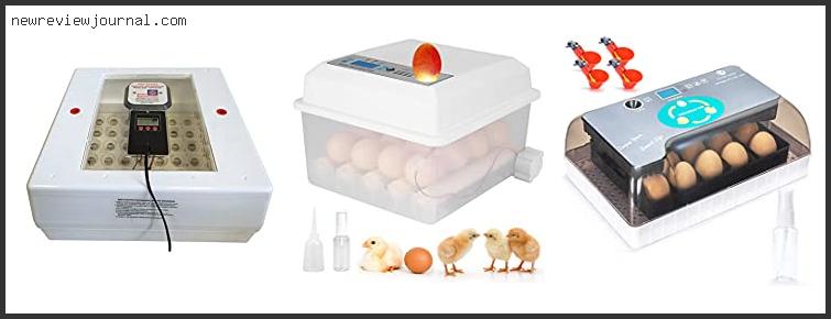 Top 10 Best Small Incubator For Chicken Eggs With Buying Guide