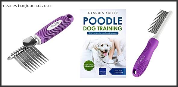 Best Grooming Tools For Standard Poodles