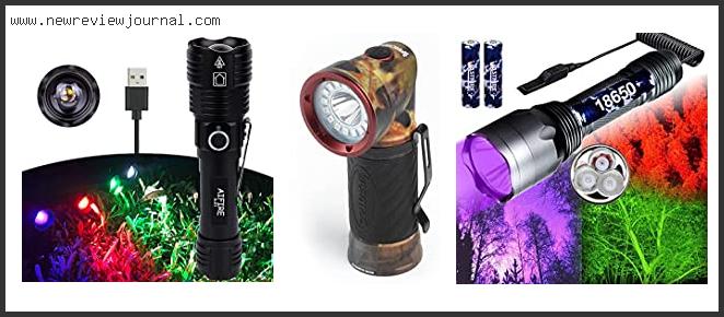 Top 10 Best Flashlight For Tracking Deer – Available On Market