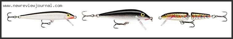 Top 10 Best Rapala Lures Reviews With Scores
