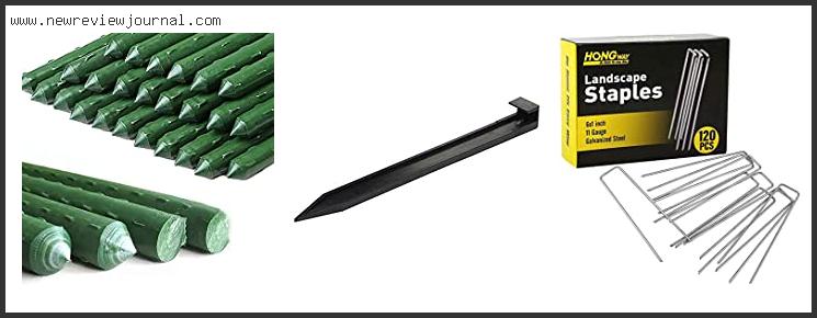 Top 10 Best Garden Stakes Reviews With Products List