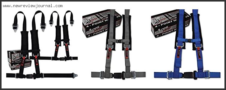 Top 10 Best 4 Point Harness Reviews For You