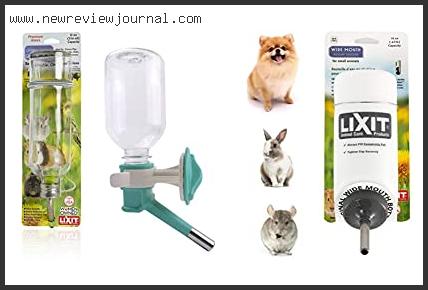 Top 10 Best Water Bottle For Chinchillas Based On User Rating