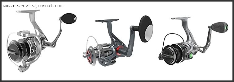 Top 10 Best Quantum Reels Reviews With Products List