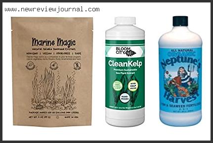 Top 10 Best Seaweed Fertilizer – Available On Market