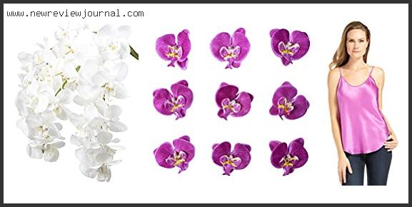 Top 10 Best Silk Orchids With Expert Recommendation