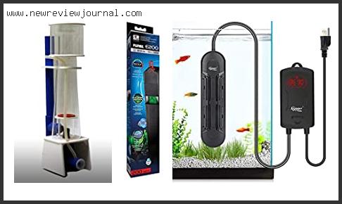 Top 10 Best 65 Gallon Aquarium In [2024]