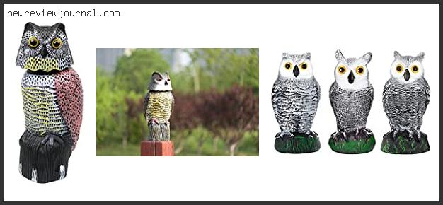 Deals For Best Owl Decoy For Birds Based On Customer Ratings