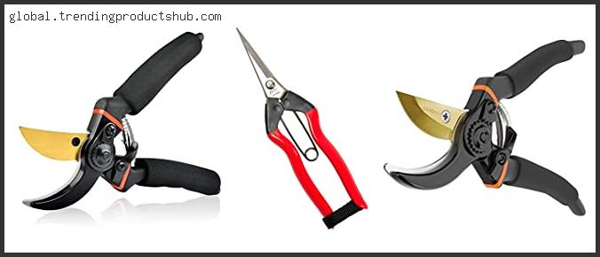 The Best Japanese Pruning Shears