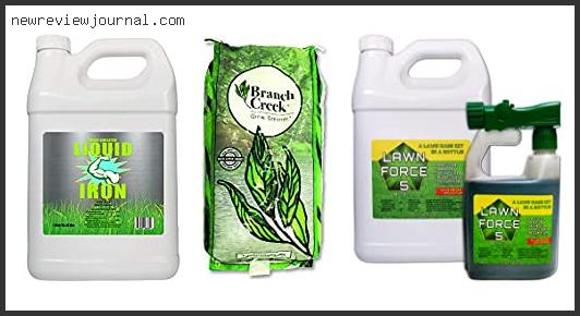 Buying Guide For Best Non Toxic Lawn Fertilizer – Available On Market