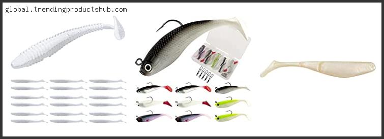 Top 10 Best Paddle Tail Swimbait Based On Scores