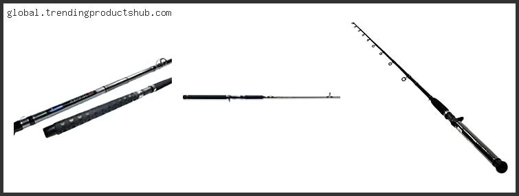 Top 10 Best Salmon Trolling Rods Reviews With Products List