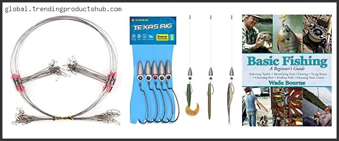 Best Rod For Texas Rig
