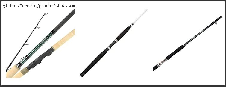 Top 10 Best Tarpon Spinning Rod Based On Customer Ratings