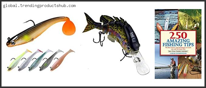Top 10 Best Lures For River Largemouth Bass Based On User Rating