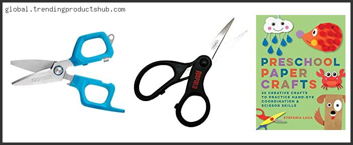 Top 10 Best Braid Scissors With Buying Guide
