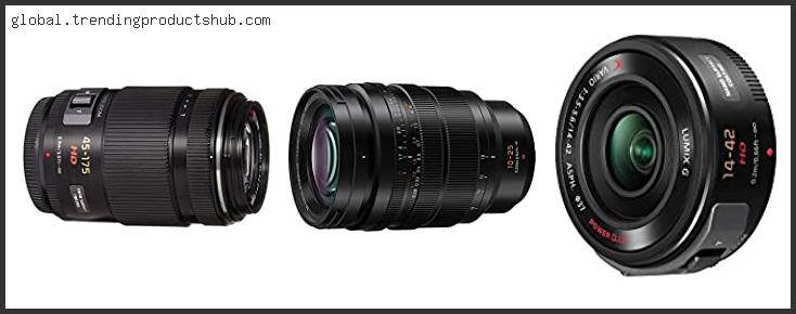 Best Micro Four Thirds Zoom Lens