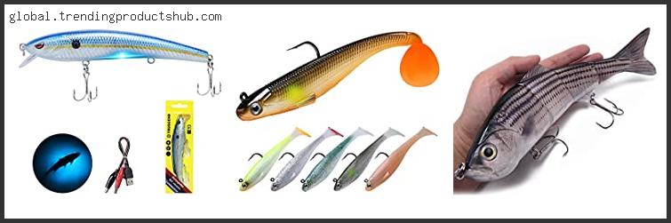 Top 10 Best Lure For Striped Bass Freshwater Reviews With Scores