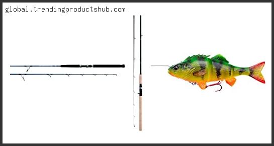 Top 10 Best Line For Big Swimbaits – Available On Market