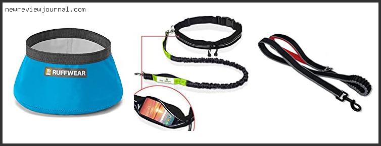 Best Trail Running Dog Leash