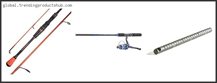 Top 10 Best Worm Rod With Expert Recommendation