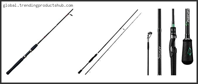Best Two Piece Spinning Rod