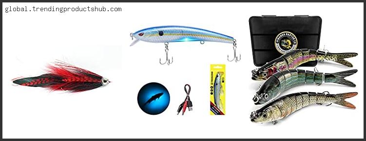 Top 10 Best Pickerel Lures Reviews With Scores