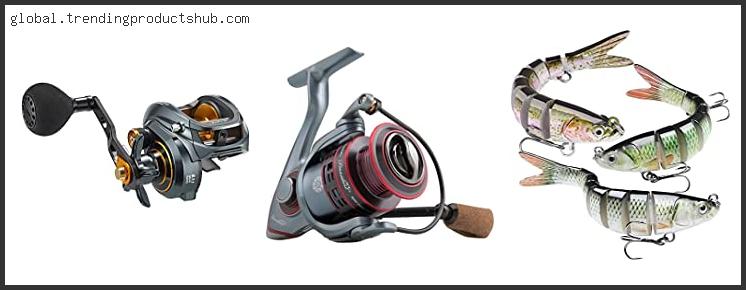 Top 10 Best Swimbait Reels Reviews For You