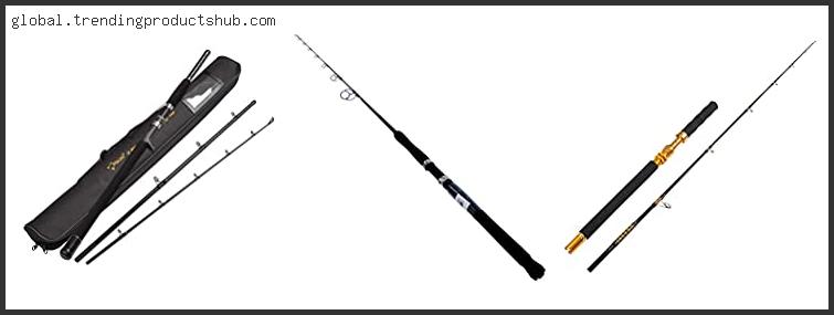Top 10 Best Jigging Rod Under $100 With Expert Recommendation
