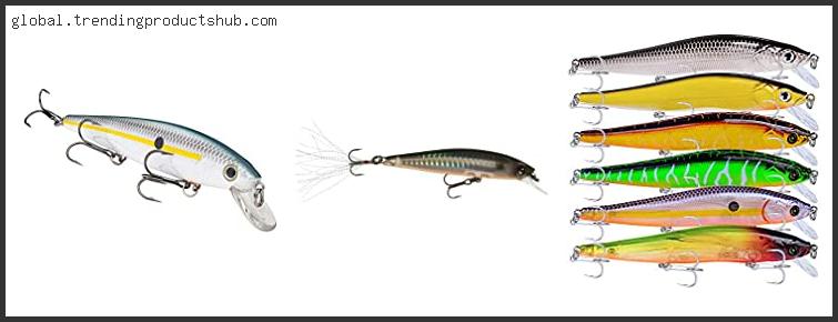 Top 10 Best Size Jerkbait For Bass With Expert Recommendation