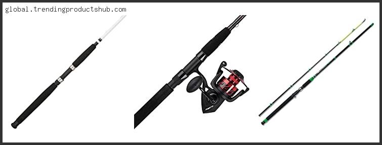 Top 10 Best Reel For Medium Heavy Rod Reviews With Products List