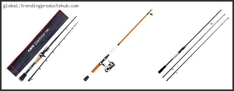 Top 10 Best Two Piece Bass Rod With Buying Guide