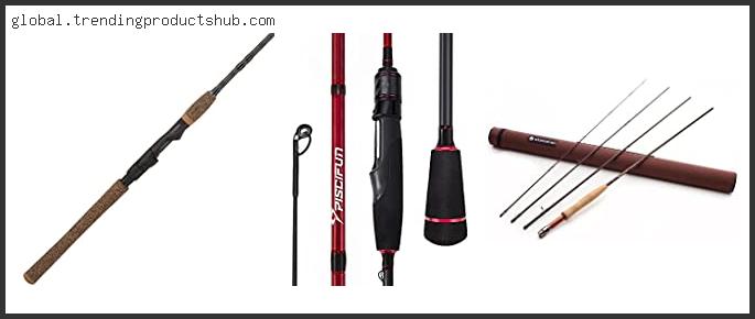 Top 10 Best Rod Action For Trout – Available On Market
