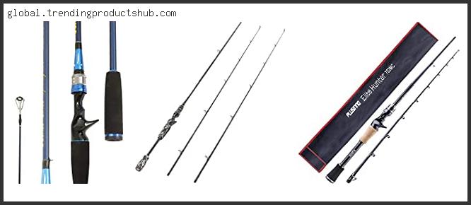Top 10 Best 2 Piece Casting Rod Reviews For You