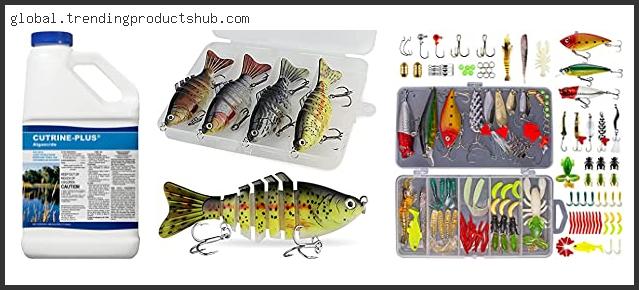 Top 10 Best Early Spring Pond Bass Baits – Available On Market