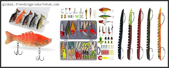 Top 10 Best Bait For Bass After Rain Reviews With Scores