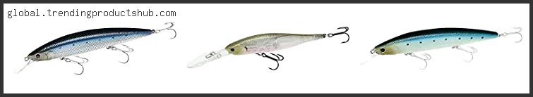 Top 10 Best Lucky Craft Lures Reviews With Scores