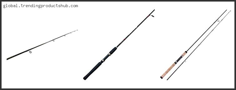 Top 10 Best Spinning Rod Under 30 Reviews For You