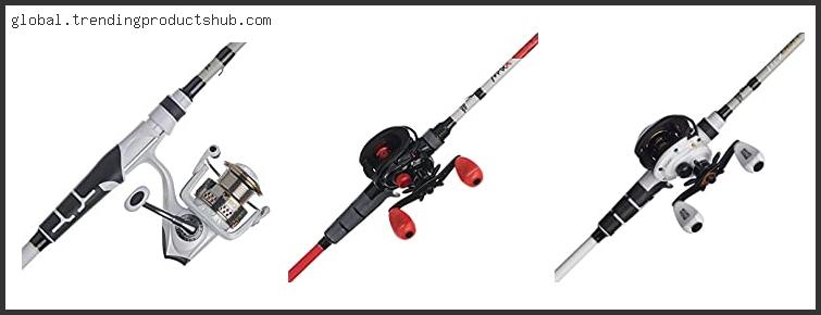 Top 10 Best Rod For Abu Garcia Pro Max With Expert Recommendation