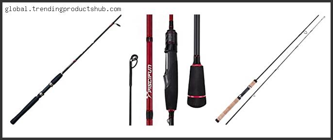 Top 10 Best 2 Piece Spinning Rod Based On Customer Ratings