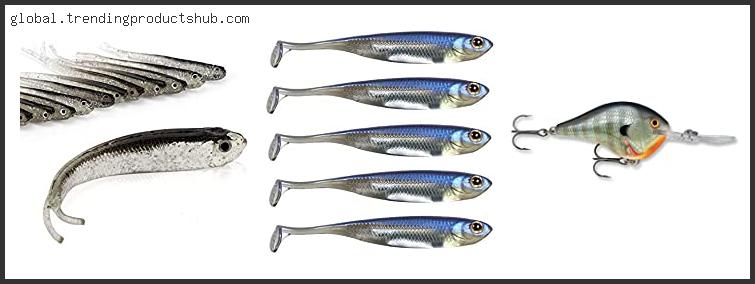 Top 10 Best Time To Use A Crankbait Reviews With Products List