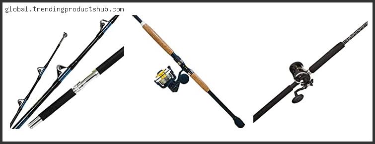Top 10 Best Saltwater Trolling Rod And Reel Combo Reviews For You