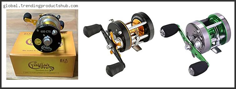 Top 10 Best Round Baitcasting Reels Based On User Rating