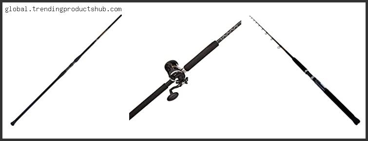 Top 10 Best Conventional Rod Reviews With Scores
