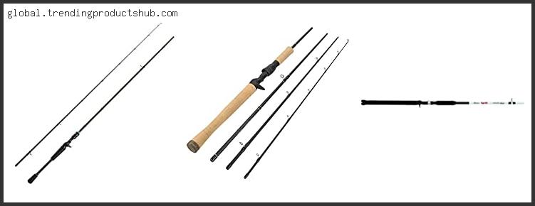 Top 10 Best Casting Rods Reviews For You