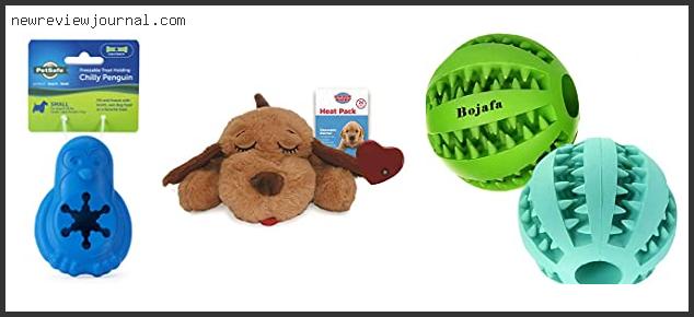 Best Puppy Crate Toys
